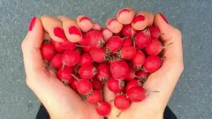 Čo naozaj funguje pre srdce – a prečo je v tomto zozname aj bobuľové ovocie