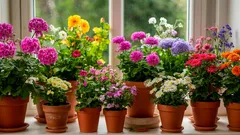 V zime môžu hnojivá zničiť vaše rastliny! Na čo si dať pozor, aby ste zachránili svoje obľúbené kvety