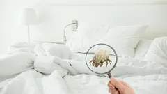 Prekvapí vás, čo sa skrýva vo vašej posteli: Mikroskopický svet medzi plachtami