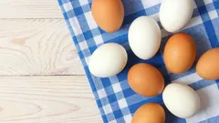 Môžete jesť vajcia každý deň – čo sa deje vo vašom tele