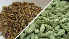 Bolesť a nadúvanie zmiznú samy — starý osvedčený prostriedok z vašej kuchyne